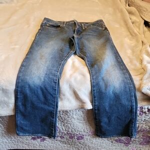 Levi Strauss Women's Blue Jeans